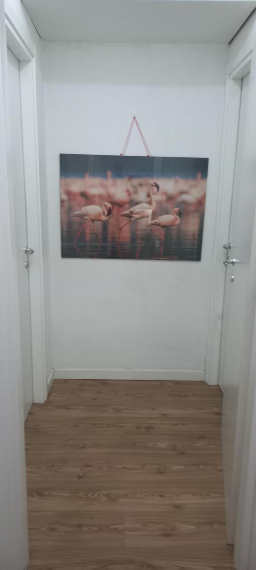 B&B Leo Кальяри Экстерьер фото